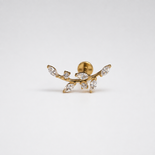 Piercing Ivy Titanium de titanio, vista principal